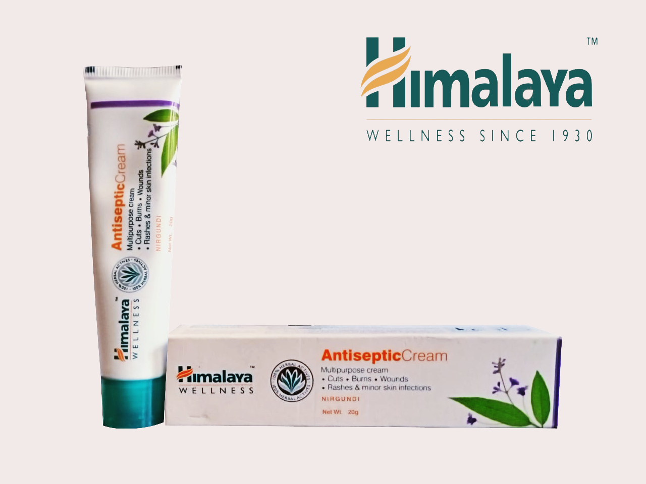 Himalaya Antiseptic Cream, Multipurpose Cream for Cuts, Burns, Wounds, Rashes, Minor Skin Infections