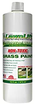 Lawnlift Ultra Concentrated (Green) Grass Turf  Paint - 16 Oz