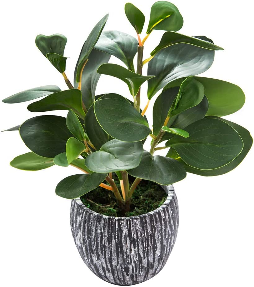Mini Potted Artificial Fiddle Leaf Fig Plant with Rustic Black Cement Planter for House Office Desk 