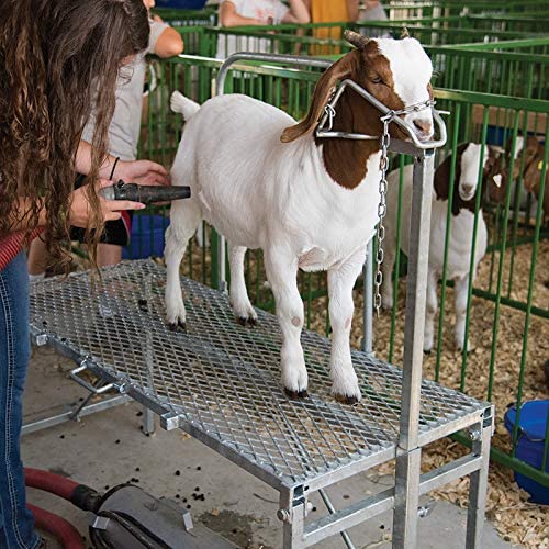 Premier Trimming Stand for Sheep and Goats