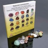 20pcs Natural Crystal Gemstone Polished Healing Chakra Stone Collection Popular Stones Decoration Cr