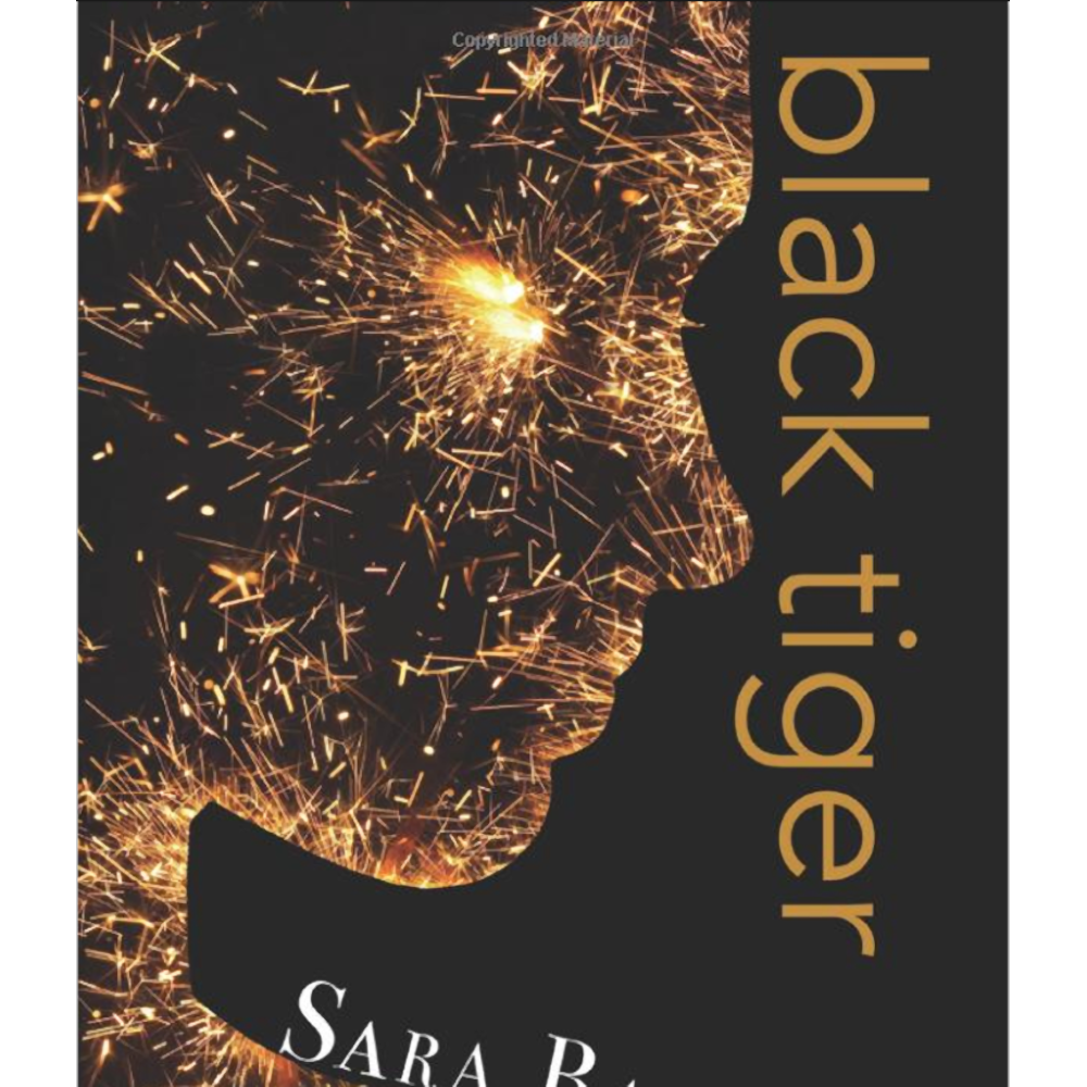 Black Tiger (Black Tiger Series) Paperback – Aug