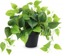 Artificial Faux Pothos with Black Plastic Pot for &hellip;