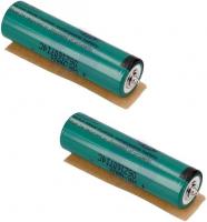 Braun Replacement NiMH AA Battery Pair with Snap in Pins