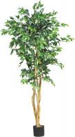 Ficus Artificial Tree with Curved Trunk, 5-Feet - 