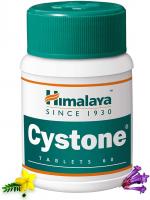 Himalaya Cystone Tablets 60 for Urinary Tract Infection, Uric Acid and Urinary Calculi, 60 Tabs