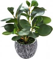 Mini Potted Artificial Fiddle Leaf Fig Plant with Rustic Black Cement Planter for House Office Desk 