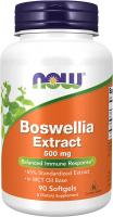 Boswellia Extract 500 mg by NOW Foods for Balanced…