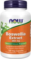 NOW Supplements, Boswellia Extract 250 mg 120 Veg Capsules
