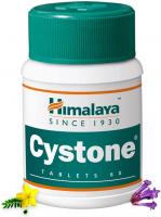 Stone Breaker Tablets - Himalaya Cystone - 60 ct