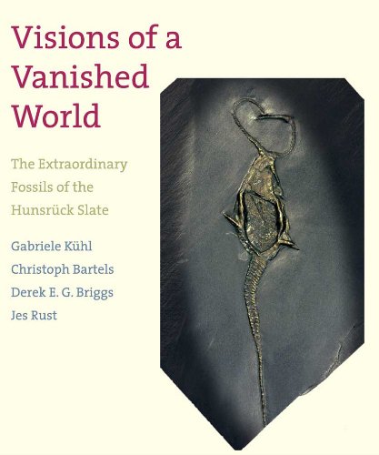 Visions of a Vanished World: The Extraordinary Fossils of the Hunsrück Slate Hardcover – by Gabriele Kühl (Author)